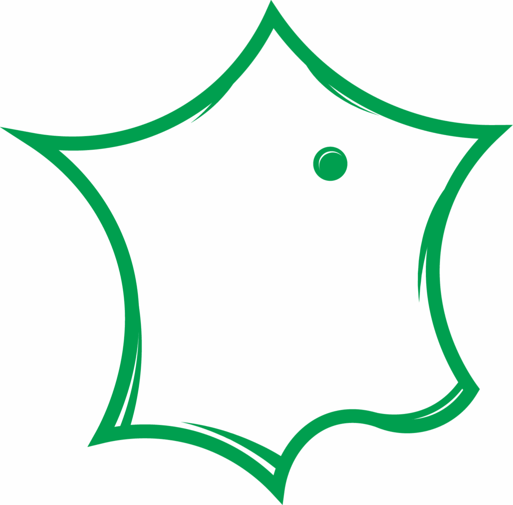 SELENE Solutions Champagne